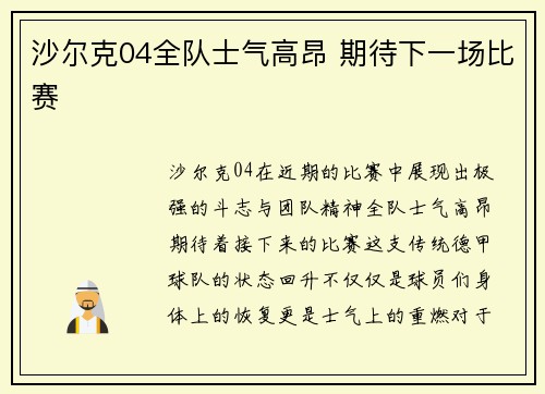 沙尔克04全队士气高昂 期待下一场比赛